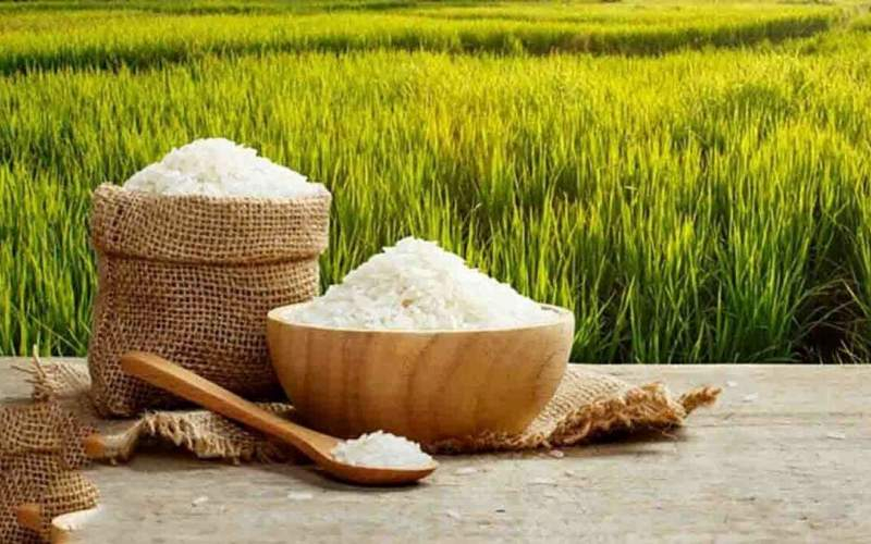 قیمت برنج افزایش می‌یابد؟