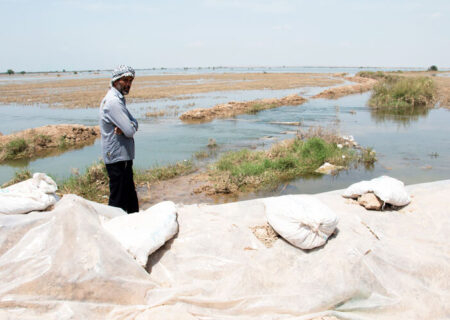 طوفان و بارندگی روزهای اخیر، حداقل ۲۰۰ هزار تن از گندم کشاورزان استان را نابود کرد