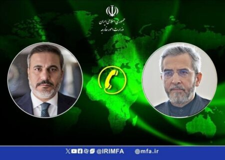 باقری: کشورهای اسلامی نباید از هیچ فرصتی برای پشتیبانی از مردم فلسطین دریغ کنند