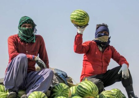 پنج شگفتی در گزارش رسمی تورم خوراکی